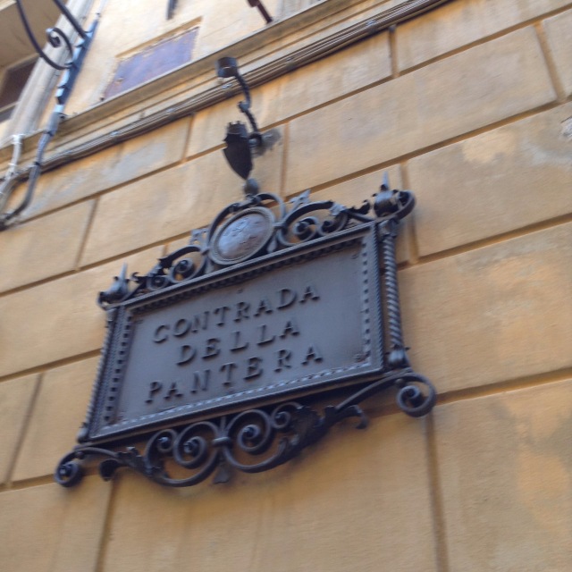 Приключения Минуш в Италии. Часть 5. Сиена. Современное средневековье