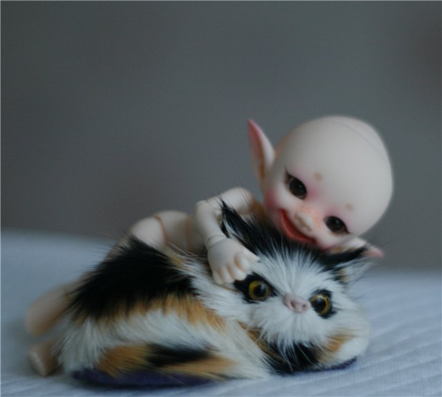 В нашем доме поселился замечательный жилец! Реалпуки Попо (фото 3)