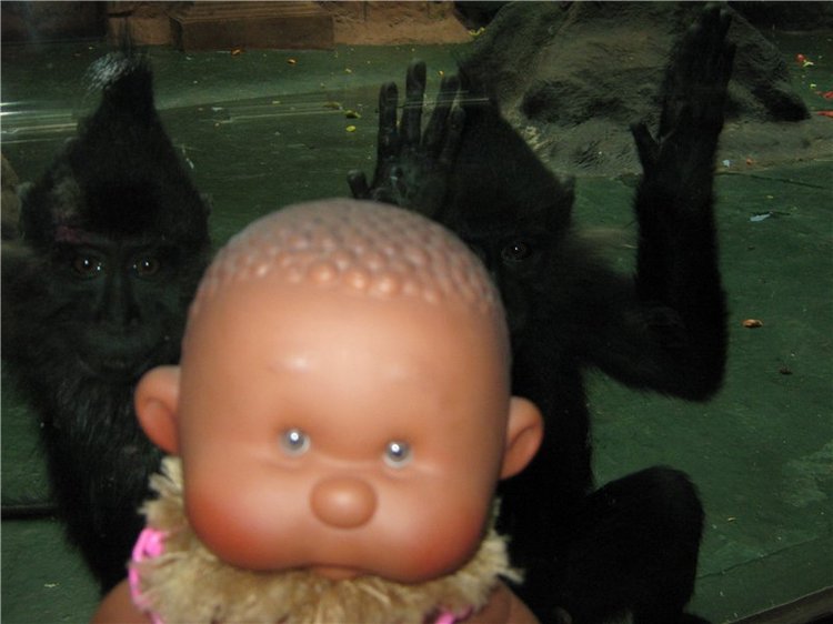 Пупсы Nines Artesanal D'Onil в Ижевском зоопарке