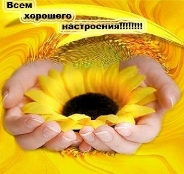 Настоящие гномы обожают сокровища = Женькины драгоценности, или сегодня один год, как мы на "Бэйбиках"