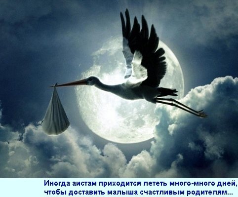 Маленькая феечка с острова цветов. Tamara от Monika Peter-Leicht (фото 2)