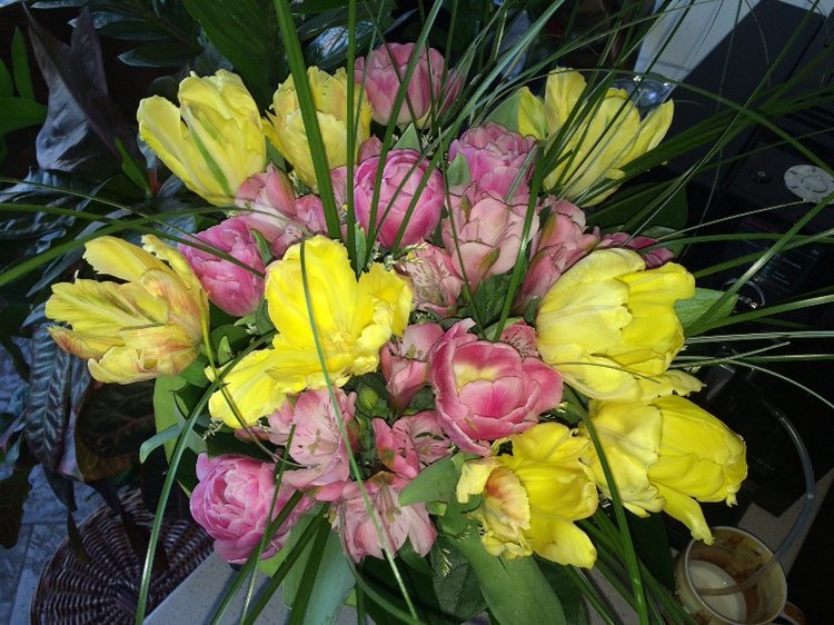 Уголочки мои драгоценные-2. Год спустя. Часть вторая, виниловая, авторская и всякая