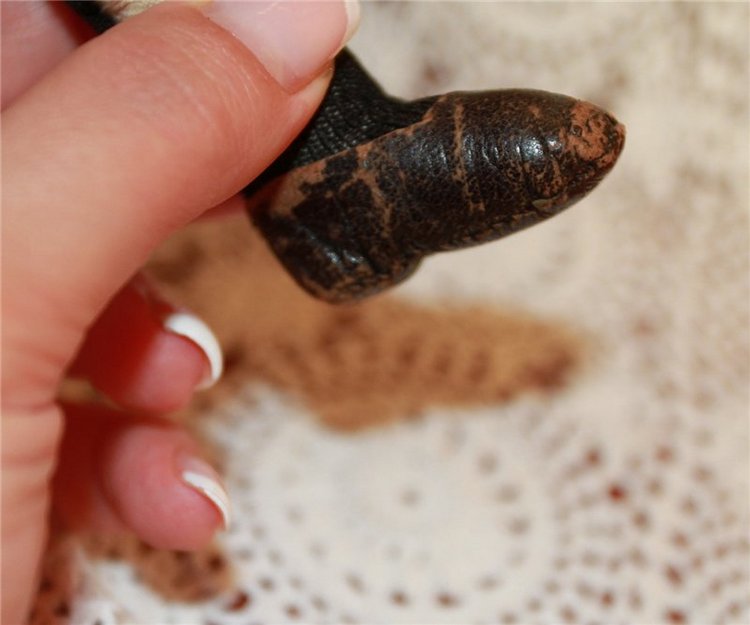 Моя паросская куколка. Antique Parian Doll