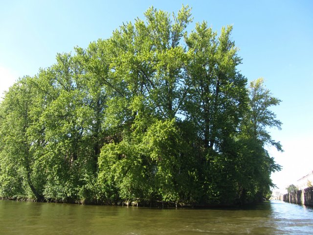 Приглашаем на водную экскурсию по Петербургу