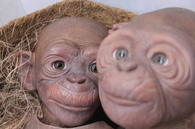 Обезьяныши реборн Элины Кудрявцевой