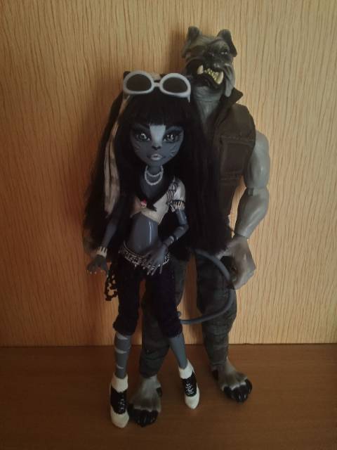 Моя коллекция monster high (фото 6)