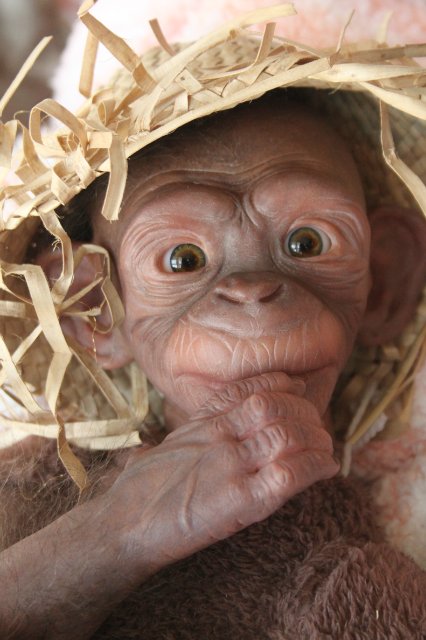 Гога, он же Гоша,он же Гора, он же Жора, здесь проживает? кукла реборн Элины Кудрявцевой