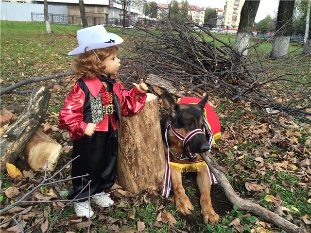 История любви, или К нам приехали цыгане