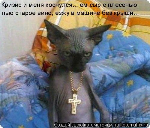 Кошачий позитив — Интересное и необычное: фотоподборки