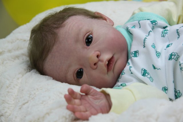 Софийкин! Кукленок реборн Виктории Вишни