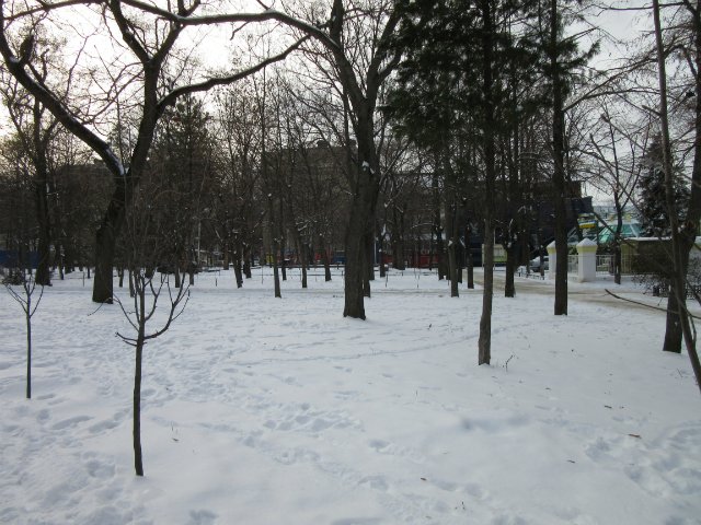 Чем бы заняться юному лорду 30 декабря