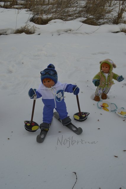 Двое в санках, не считая кота...Вихтели Rosemarie Anna Muller