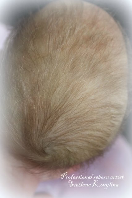 Моя маленький мышонок !Аврора от Лауры ли Иглс