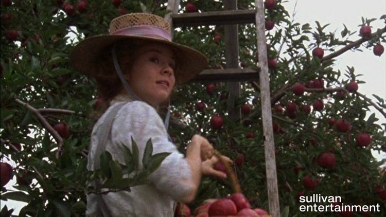 ЭНН ИЗ ЗЕЛЕНЫХ КРЫШ. ПОВАРЕННАЯ КНИГА. Рецепты из книги "Энн из Зеленых Крыш". Часть вторая