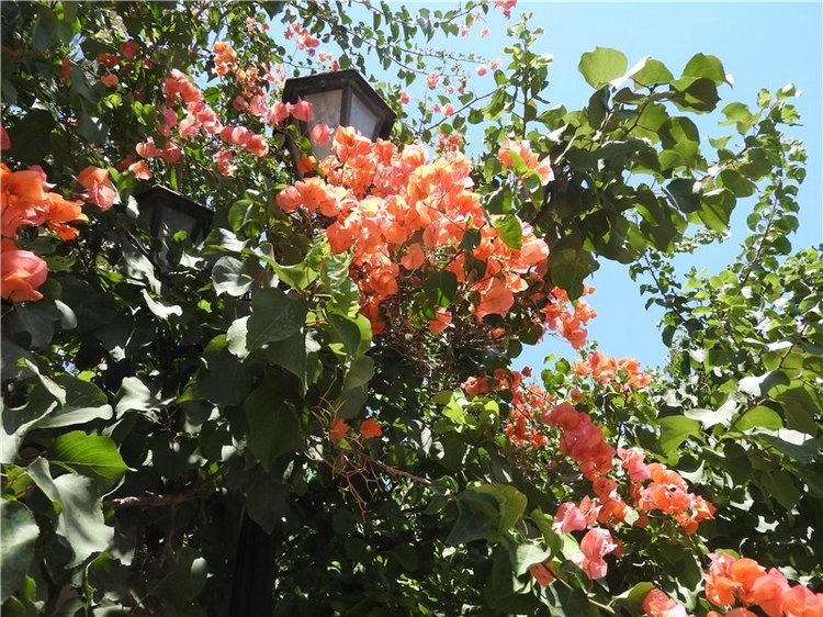 Греция, Крит, путешествие Светланки