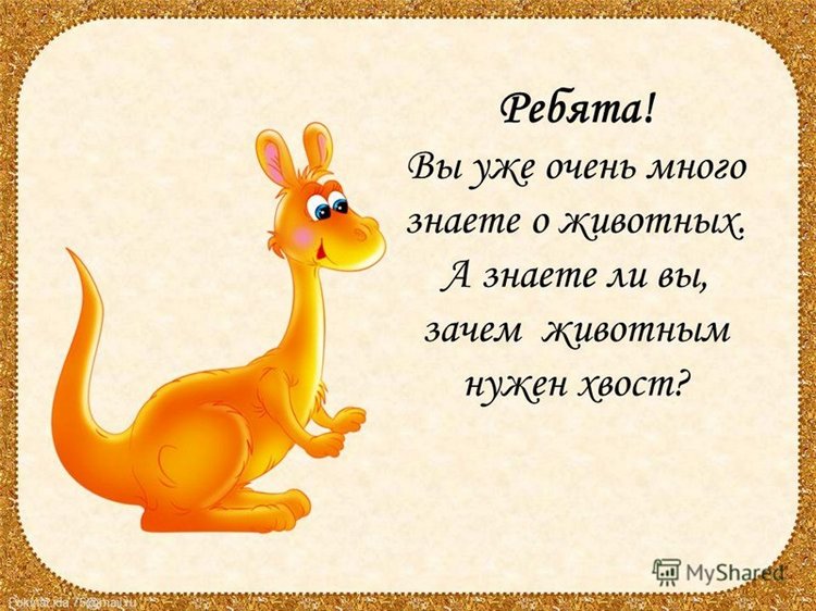 Когда я буду именинник, куплю я хвостик за полтинник. Мне продавец измерит рост и подберет по росту хвост