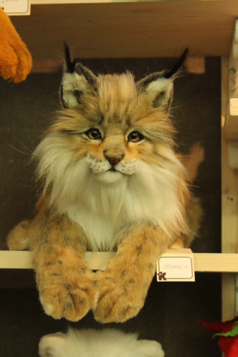 Искусство Куклы 2016! Солнечные фотографии. Фотоотчет