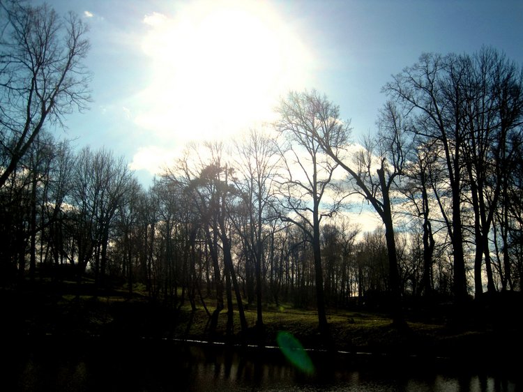 Прогулка в парке. Галочка - коллекционная куколка Дианы Эффнер