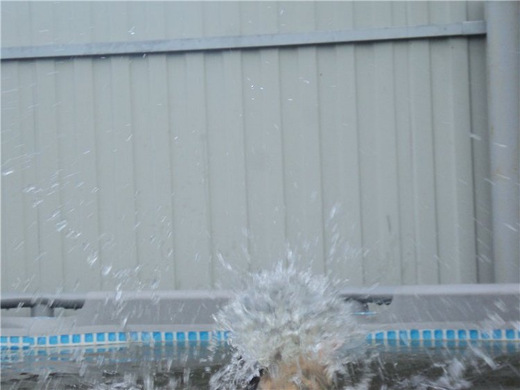 Ждем лета и верим в чудо! Куклы Готц и наряды