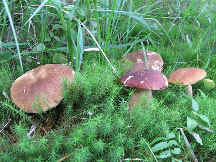 Моя маленькая озорница. Кукла Мариты Винтерс (Marita Winters) | Бэйбики Моя маленькая озорница. Кукла Мариты Винтерс (Marita Winters)