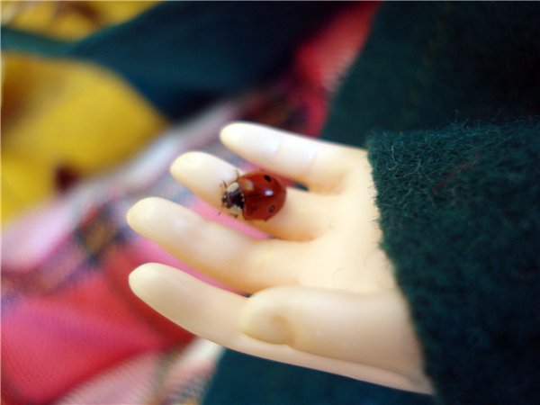 По дорогам октября... 5STAR-DOLL, Tiny (фото 4)