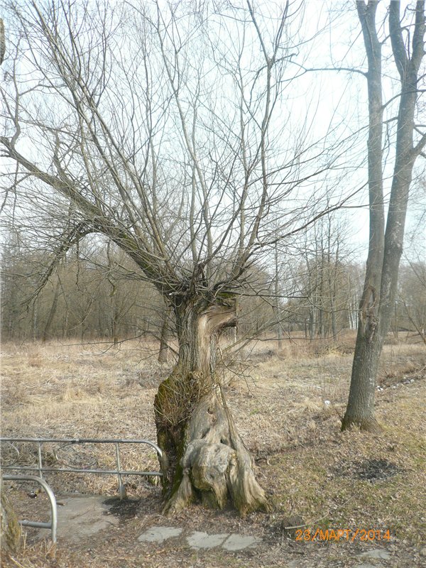 Предпраздничное настроение