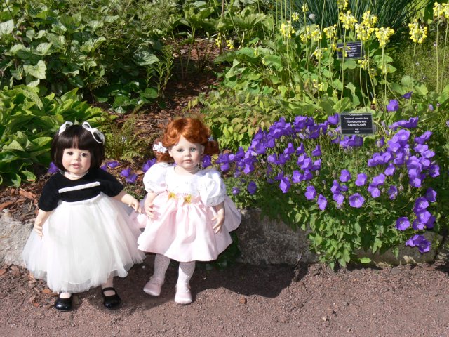 Прогулка в Ботаническом саду Санкт Петербурга. Часть 3. Садовая клумба