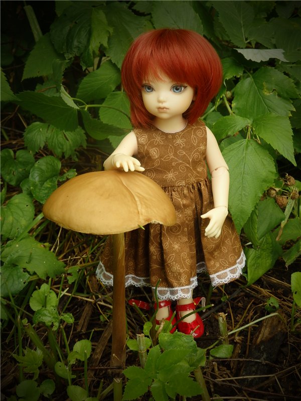 Лесная сказка или Варварка на Нугуше