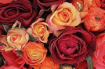 Раши, Рашенька, Рашанэ - милая девочка из Таиланда