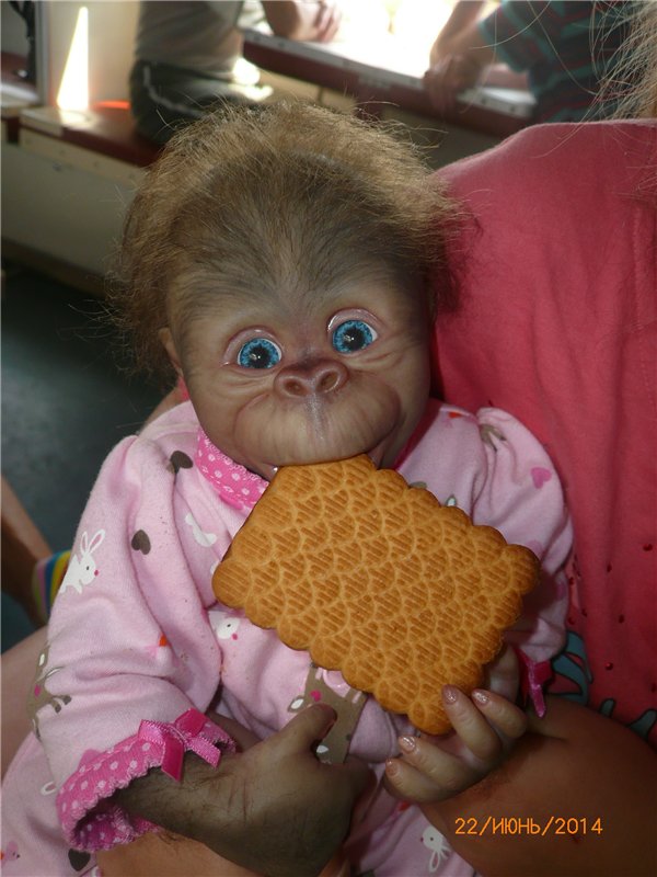 Анфисочка! Кукла - реборн - обезьянка Светланы Преображенской. Часть первая (фото 7)