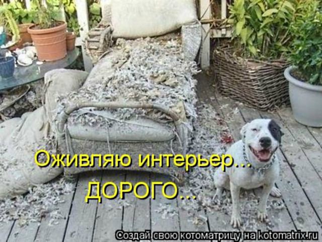 Понедельник - день тяжёлый | Бэйбики Понедельник - день тяжёлый