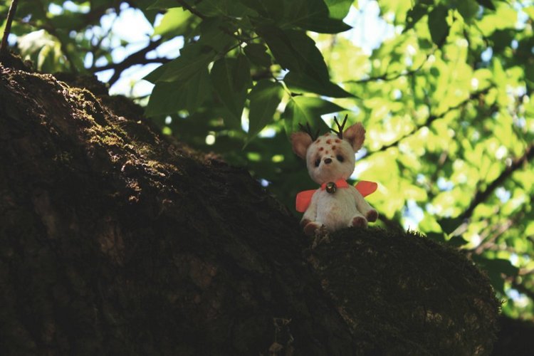 Жители моего дома — Авторские работы в частных коллекциях: домашние фото кукол и игрушек