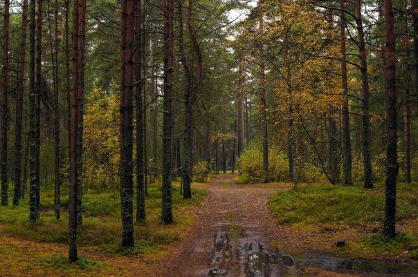 Назад в прошлое | Бэйбики Назад в прошлое — Болталка и разговоры обо всем: жизнь