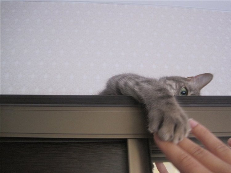 Галчонок и лето. Винтажна куколка СССР Галя