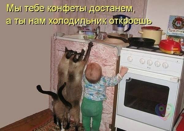 Просто добавь улыбку или пятничный девиз (фото 10)