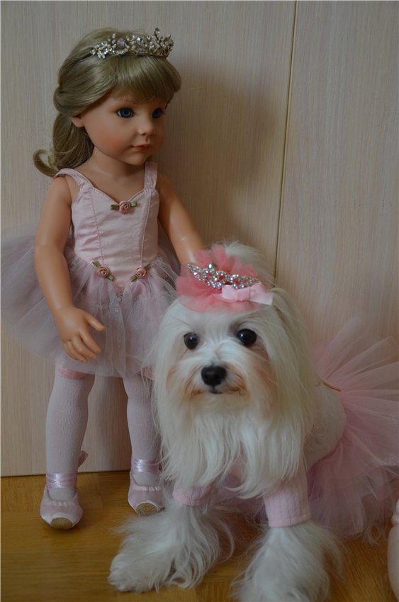 Балерина Хлоя или наше участие в конкурсе "Кукла и питомец"