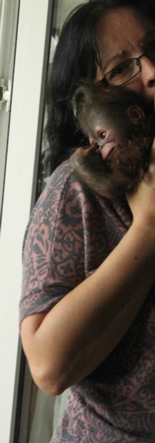 Обезьянка Bindi кукла реборн Элины Кудрявцевой