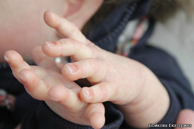 Кукла реборн Frida от Karola Wegerich в моём исполнении