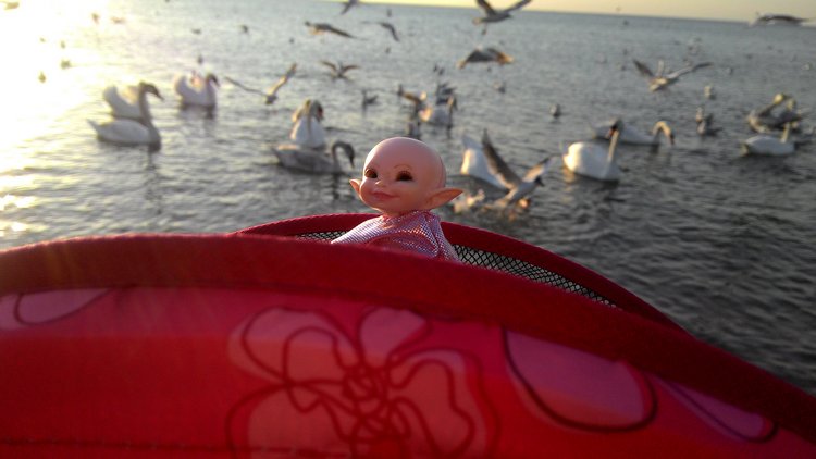 Кто живет в моей сумке — Куклы Fairyland (ФэйриЛэнд): BJD (БЖД)