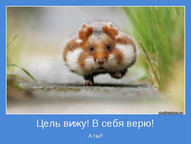 10 секретов здоровья — Болталка и разговоры обо всем: жизнь