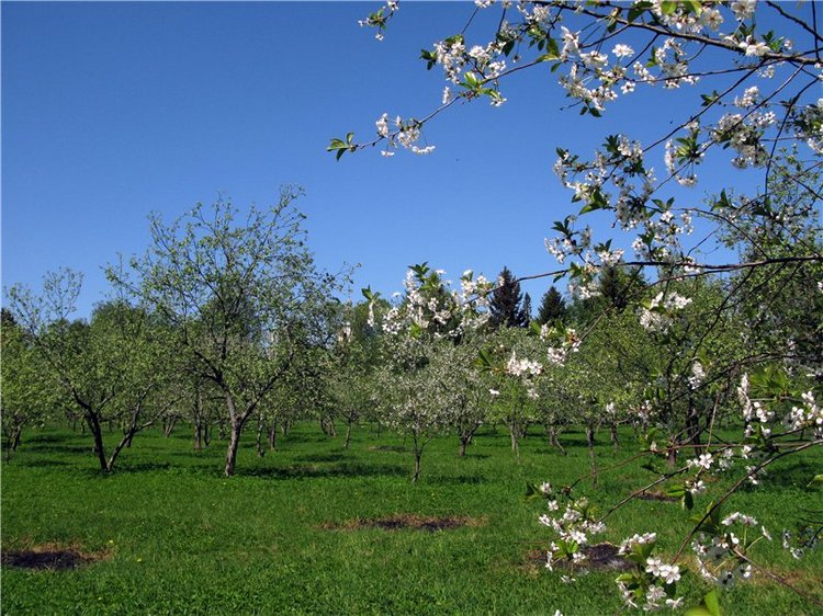 Субботний вояж. Часть первая