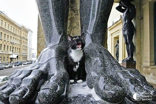 Праздник невыриков или Что вы делаете в выходные