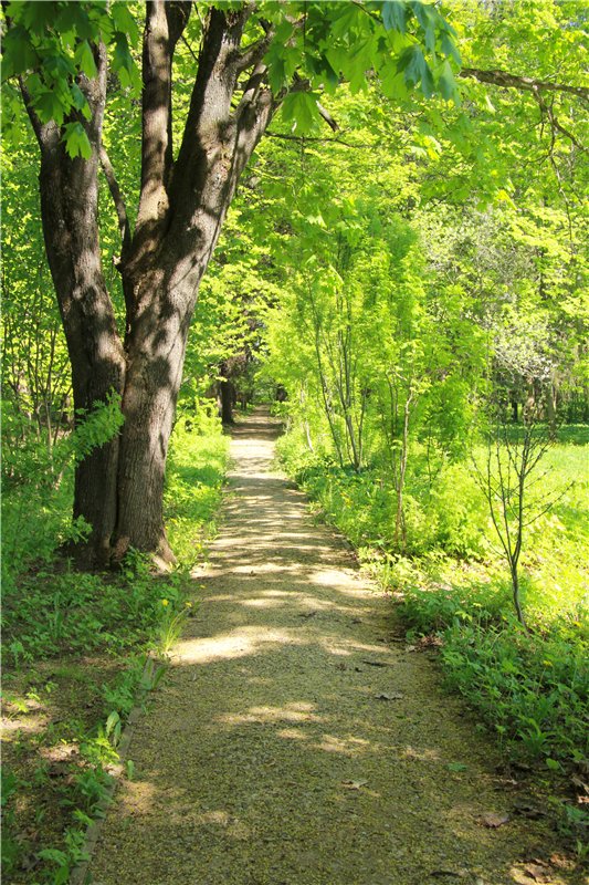 Субботний вояж. Третья часть | Бэйбики Субботний вояж. Третья часть