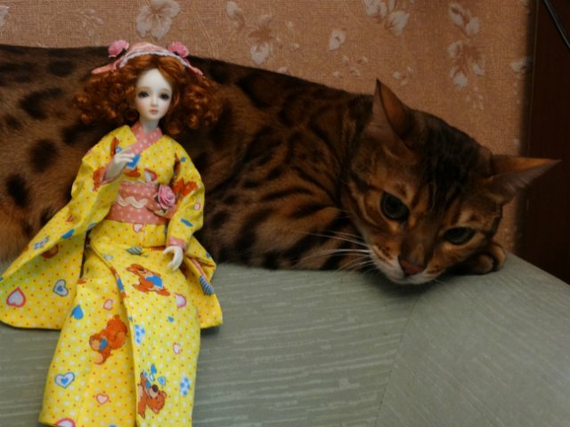 Метелька и её новый друг | Бэйбики Метелька и её новый друг — Куклы Souldoll (Соулдолл): BJD (БЖД) (фото 2)