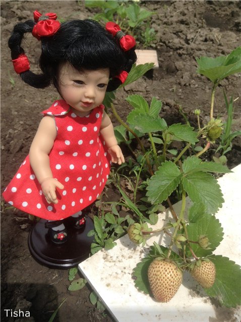 Маленькая восточная красавица Джейд от Adora