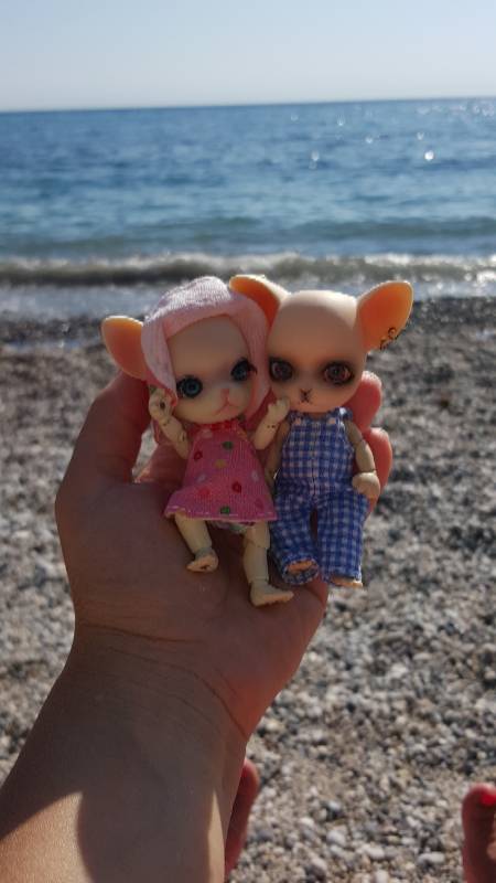 Новое путешествие Панг-Панга (фото 4)