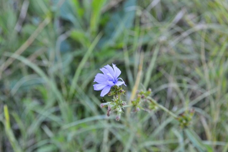 Софи на рыбалке. Харука Obitsu, Azone XS