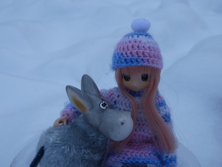 Банни и её ослик — Аниме куклы (MJD/Винил): Imomo (фото 6)