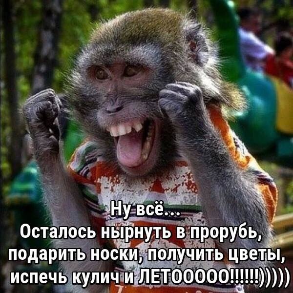 Новый год по-домашнему — Домашние коллекции кукол: фото собраний