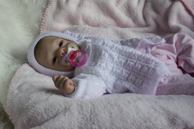 Розана - цветочек, роза... Куколка реборн Виктории Вишни